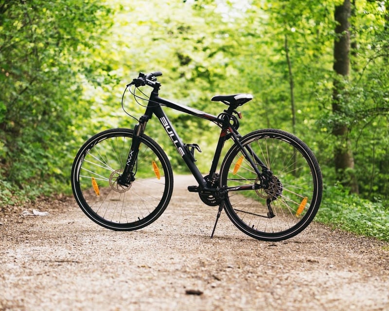 All-Day Bike Rental in Lehighton