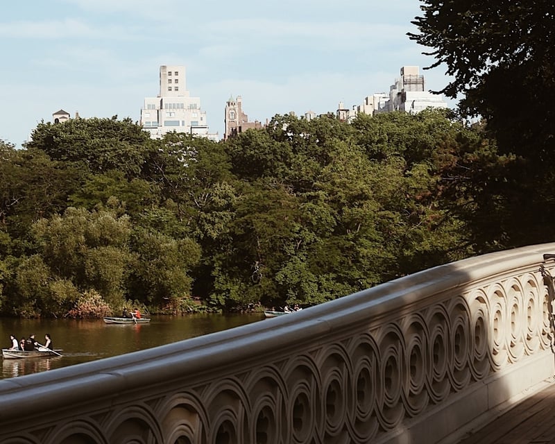 Comfort Hybrid Bike Rental in Central Park