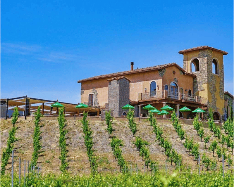Private Temecula Wine Country Tour from San Diego