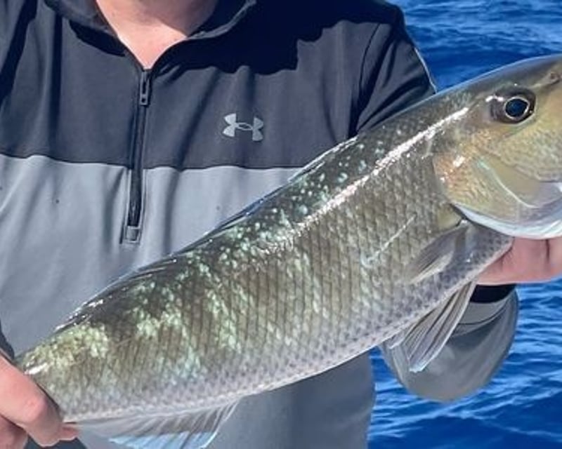Bottom Fishing Charter from Ma'alaea Harbor, Maui