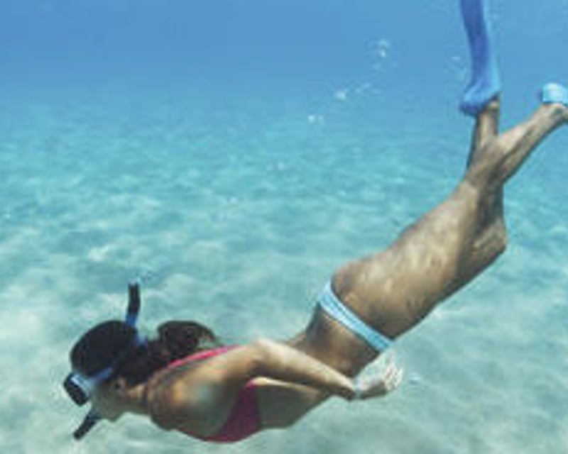 Egmont Key Snorkeling & Beach Boat Trip