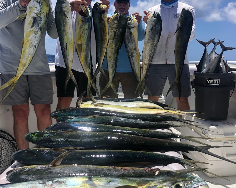 Full-Day Reef, Bay & Wreck Fishing Charter in Big Pine Key