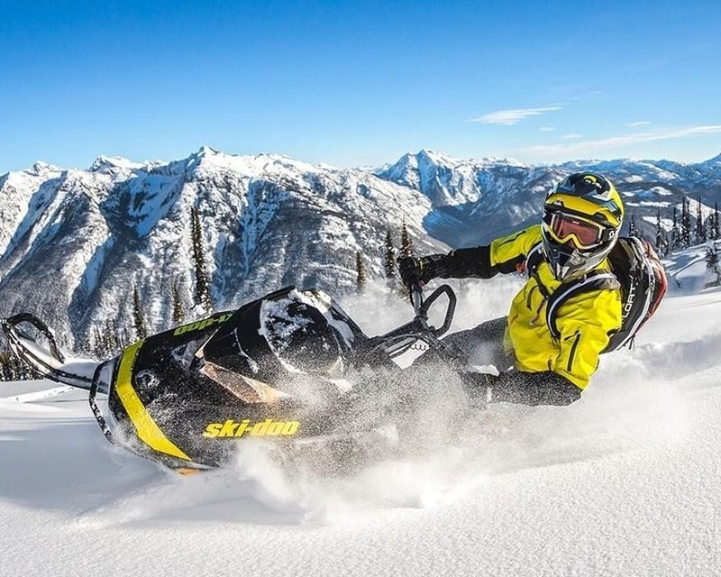 Private Half-Day Snowmobile Adventure with Lunch