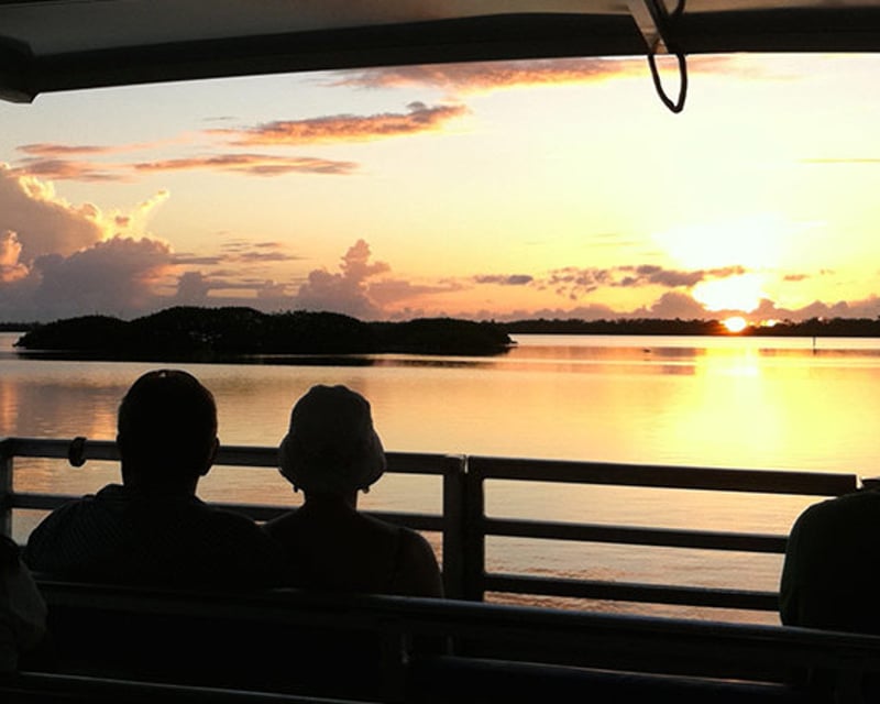 Sanibel Sunset Wildlife Cruise