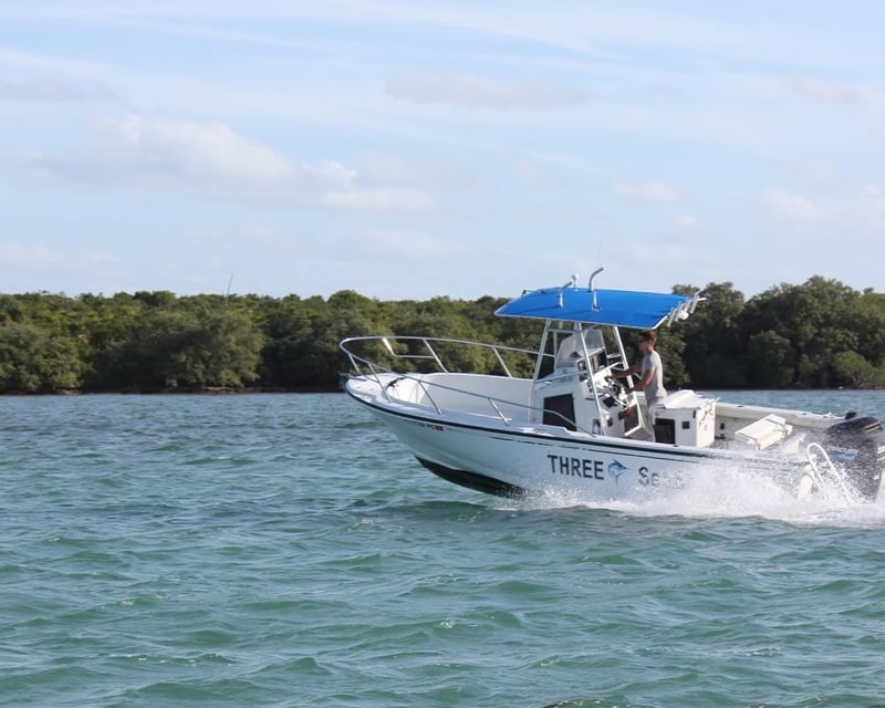 Marathon 24' Boston Whaler Rental