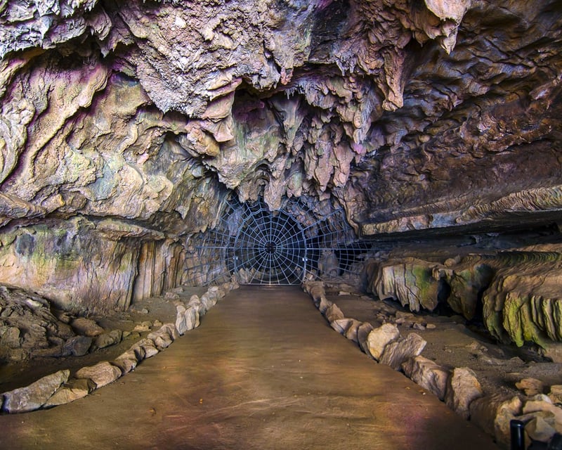 Guided Crystal Cave Tour Sequoia National Park