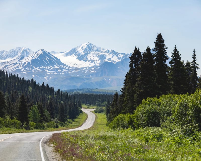 Alaska Interior Guided Tour: Fairbanks to Paxson