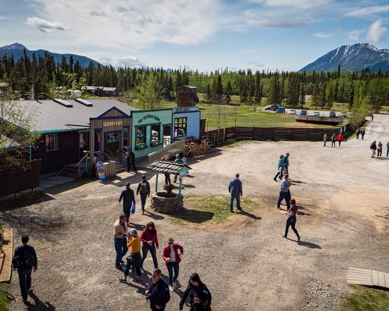 Skagway Yukon & Emerald Lake Guided Tour