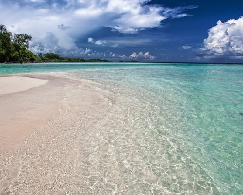 3-Hour Kayak & Paddleboard Rentals in Tierra Verde
