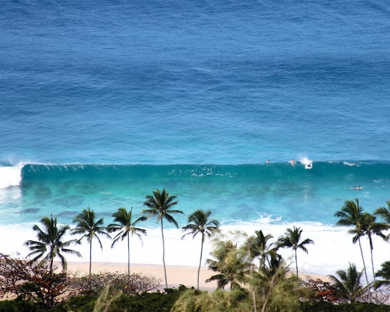 North Shore Oahu Surf Tour for Experienced Surfers