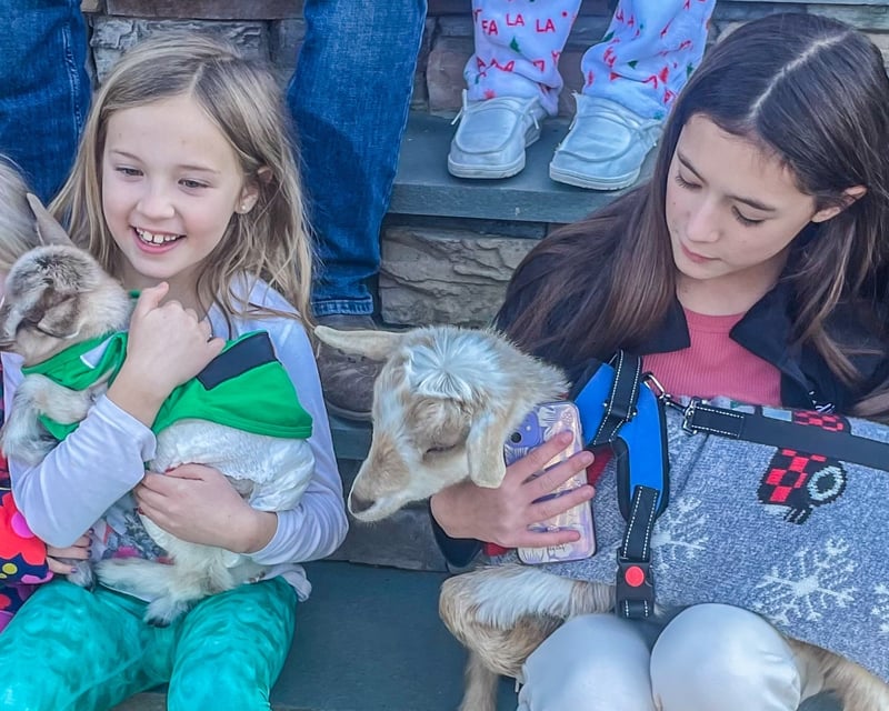 Baby Fainting Goat Home & Office Visit in Richmond