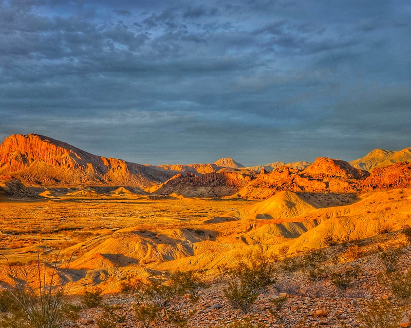 Desert Sunset Horseback Ride in Terlingua