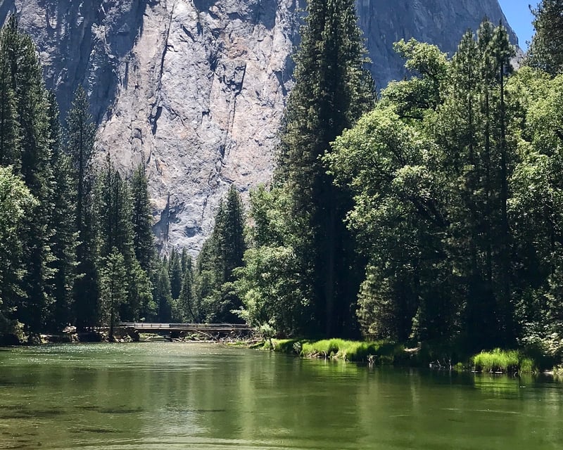 Private Yosemite Valley Tour & Roosevelt BBQ Dinner