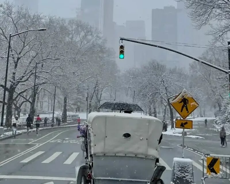 Christmas Carriage Ride in Central Park