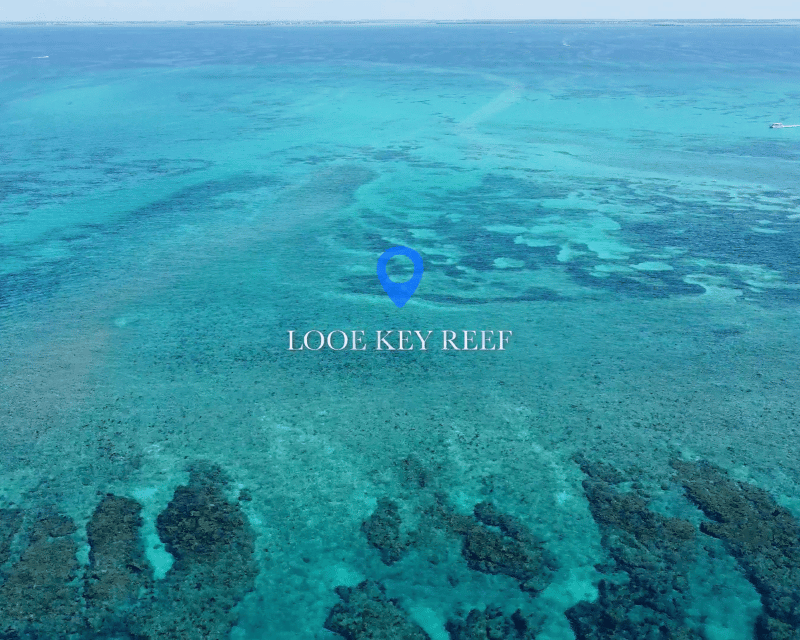 Private Looe Key Snuba, Scuba & Sandbar Charter