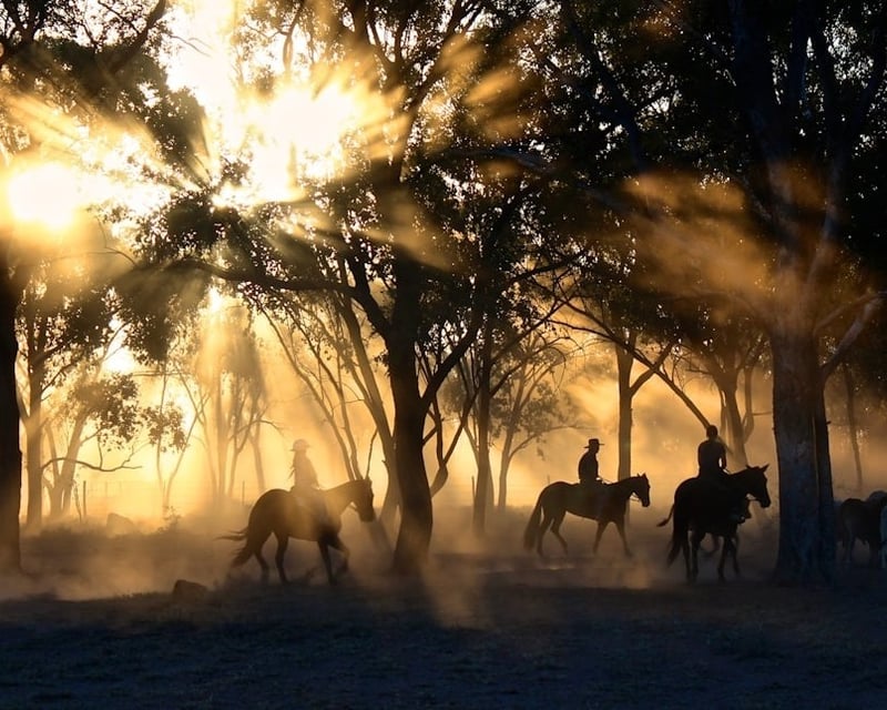 Private Western Horseback Riding Lesson in Sayreville, NJ