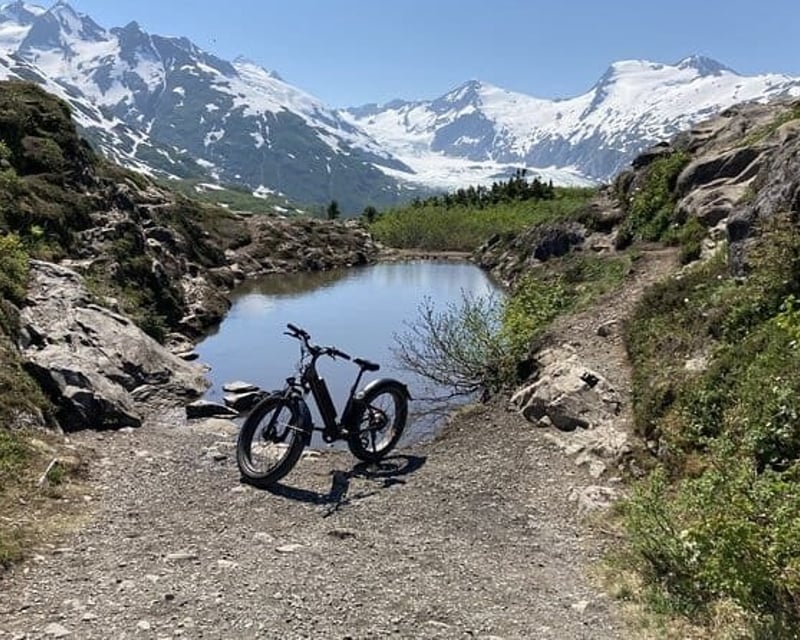 Ride a 24-Mile E-Bike Tour From Bird Creek to Girdwood