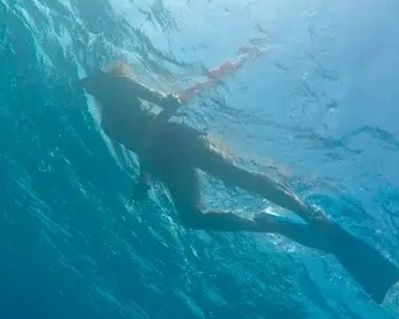 Mangrove Snorkeling Trip in Key West
