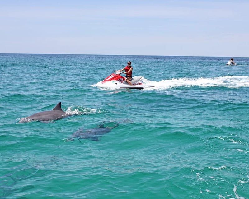 Jet Ski Dolphin Tour in South Padre Island