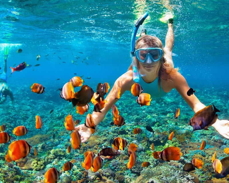 Kealakekua Bay Dolphin Watching & Snorkeling Cruise