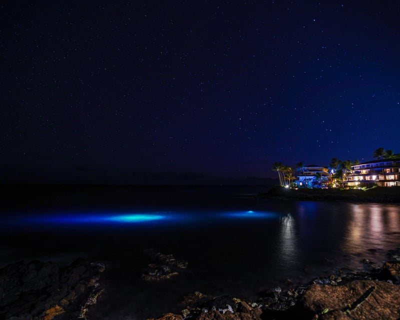 Koloa Twilight & Night Dive