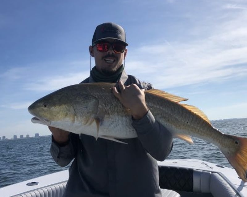 Fort Myers Beach 4-Hour Fishing Charter