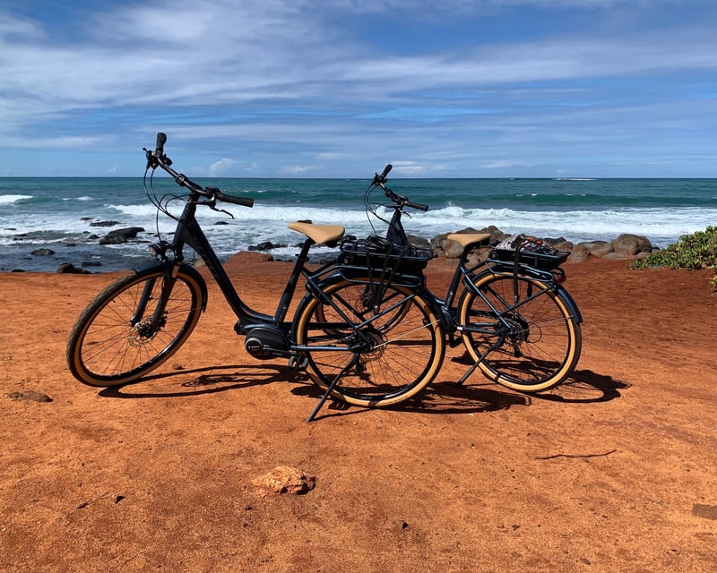 Paia Coastal Guided E-Bike Tour