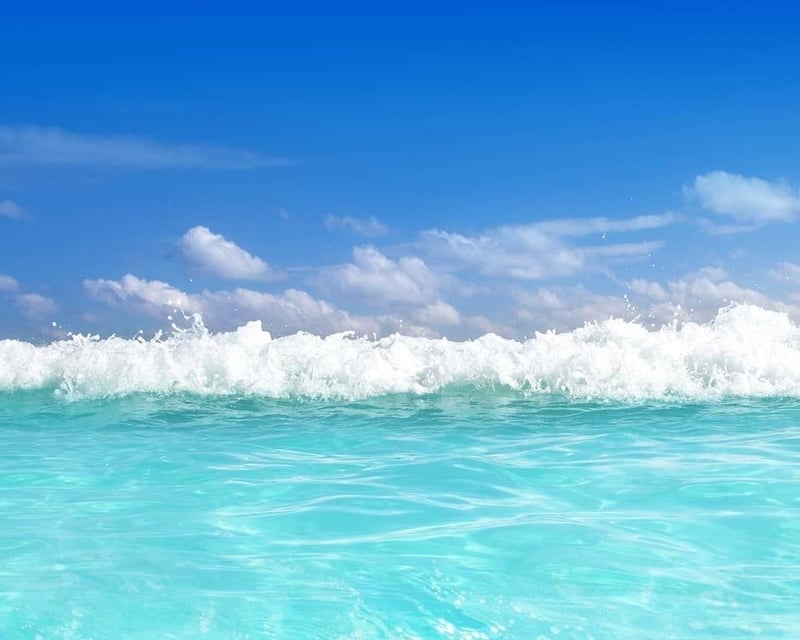 Kaanapali Coral Reef Beach Dive for New & Certified Divers