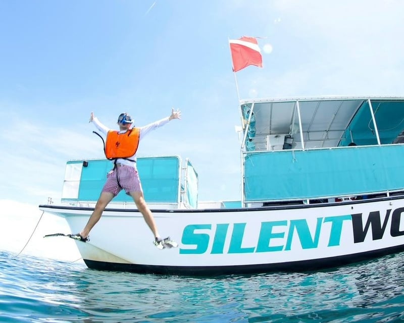 3-Reef Snorkel Tour in John Pennekamp Coral Reef State Park