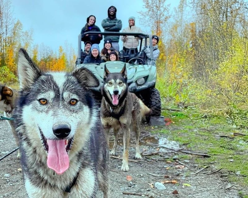 Fall Dog Sledding UTV Tour in Willow, Alaska
