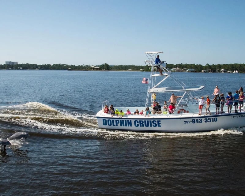 Daytime Dolphin Watching Cruise in Orange Beach