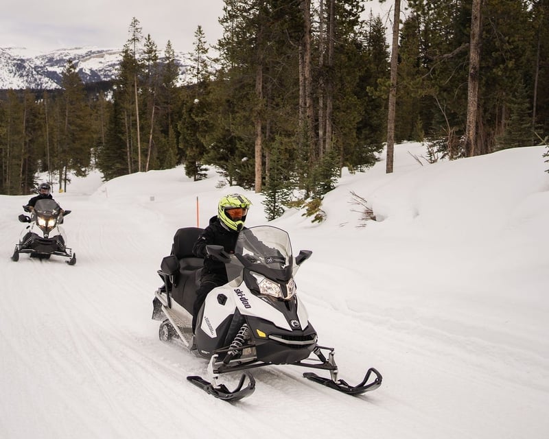Morning Guided Snowmobile Tour in Moran