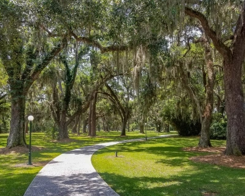 13-Day Beach Cruiser Bike Rental in Hilton Head