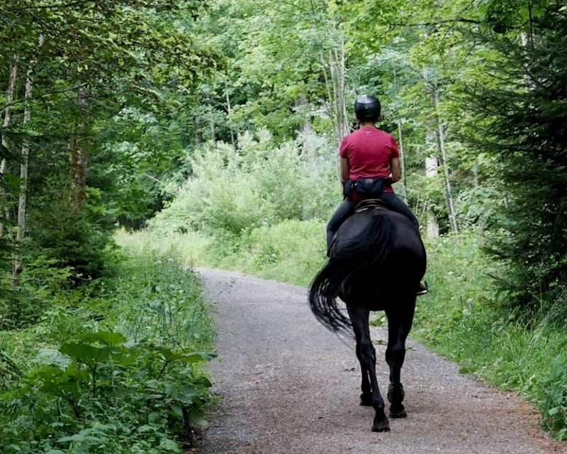 Group Western Horseback Riding Lesson in Sayreville, NJ