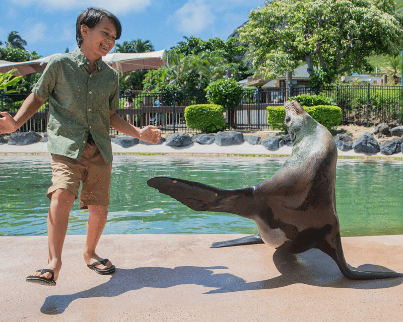 Sea Life Park Sea Lion Encounter & Park Admission