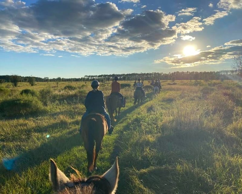 Guided Horseback Trail Ride at Lake Louisa State Park