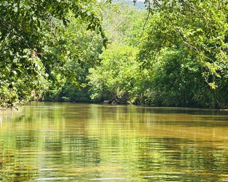 Self-Guided 12-Mile Yadkin River Kayak & Canoe Trip