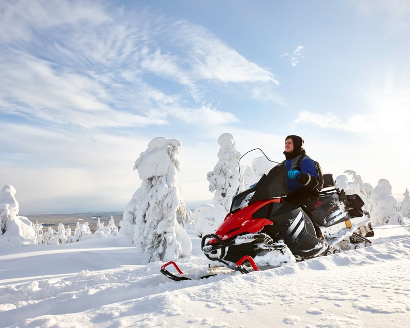 Half-Day Guided Snowmobile Tour in Whitefish