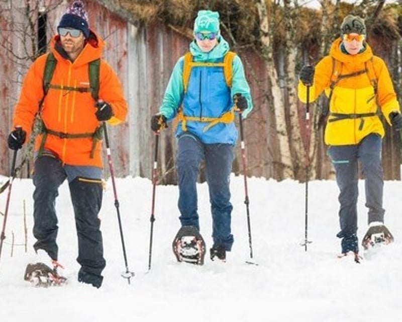 4-Hour Guided Snowshoe Tour in Summit County