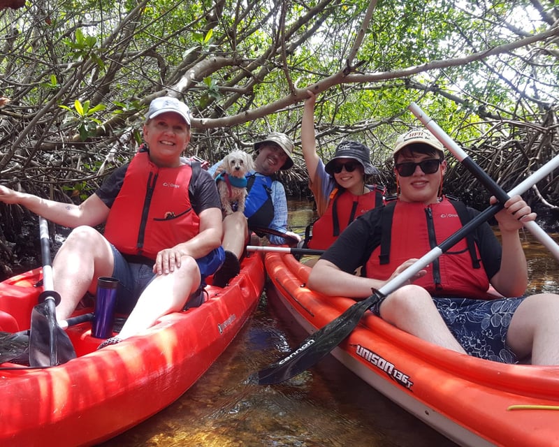 Guided Mangrove Kayak Tour Cape Coral