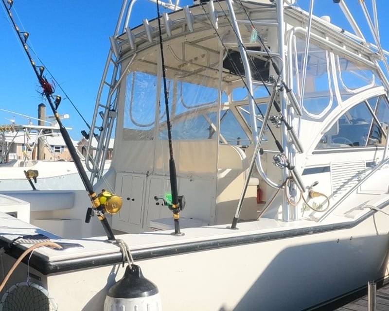 8-Hour Deep Sea Fishing Charter in Key West