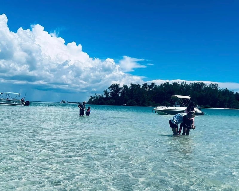 North Port Dolphin & Sandbar Cruise