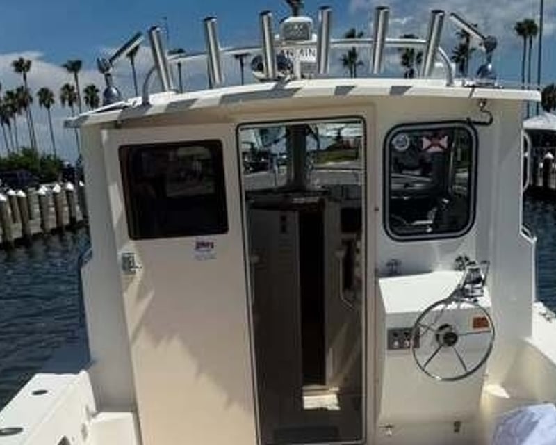 Private Full-Day Offshore Fishing Charter in Clearwater