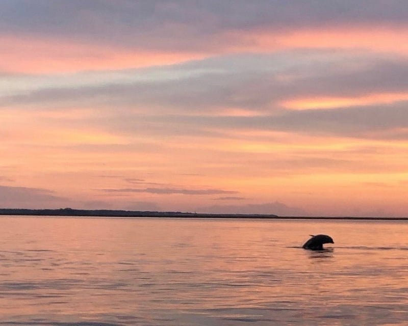 Hilton Head Dolphin & Fireworks Boat Tour