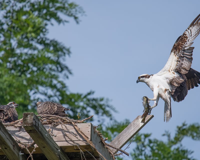 Cayuga Lake Ecology Cruise