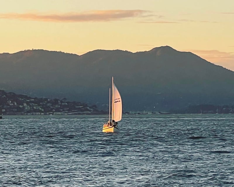 90-Minute San Francisco Bay Sailing Cruise