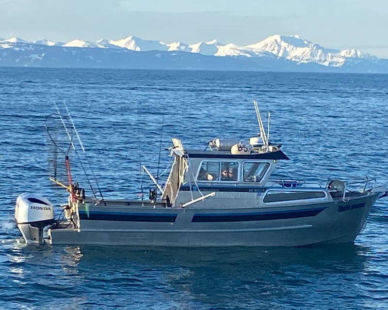 Kachemak Bay King Salmon Fishing Charter in Homer