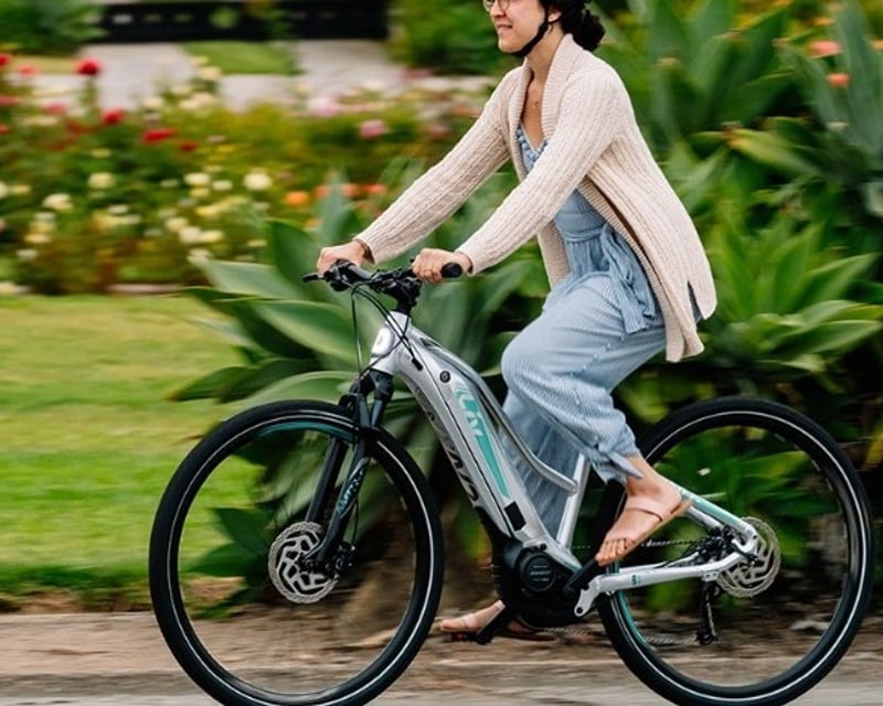 Brooksville 2-Hour Bike Rental