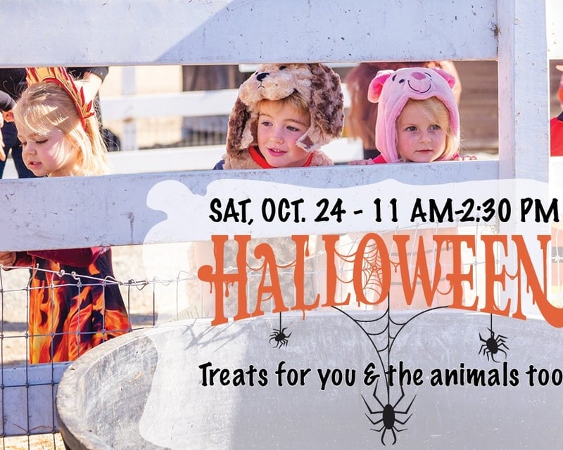 Halloween Farm Animal Sanctuary Event in Sonoma