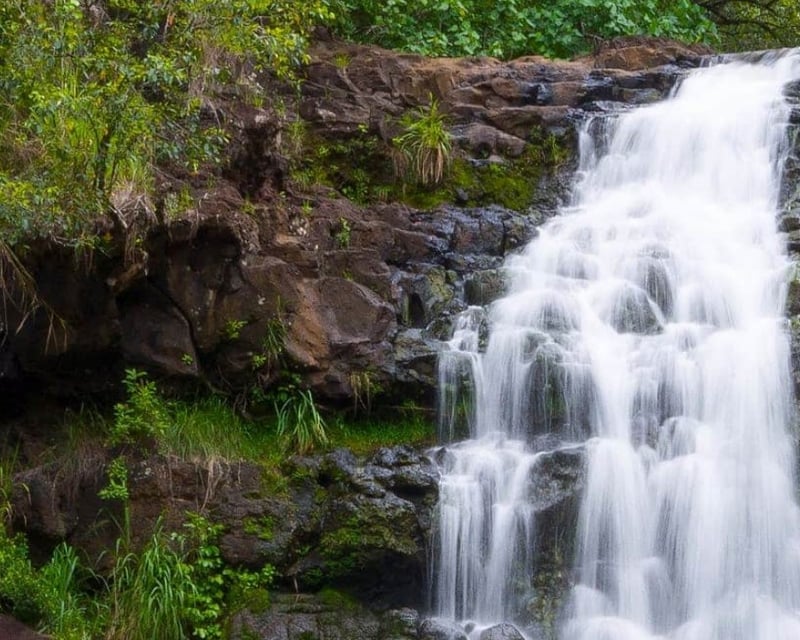 Oahu Circle Island Tour with Byodo-In Temple & Waimea Falls